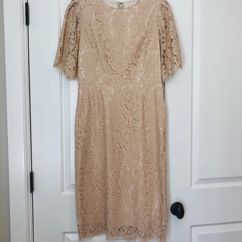 Rachel Parcell lace sheath dress.